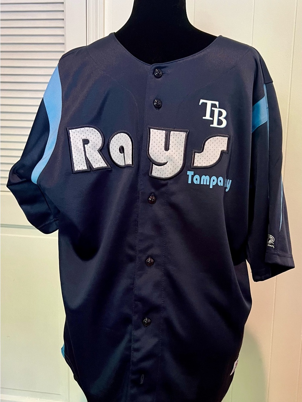 Tampa Bay RaysTrue Fan Navy blue MLB Button-Front Jersey.  Size Large.